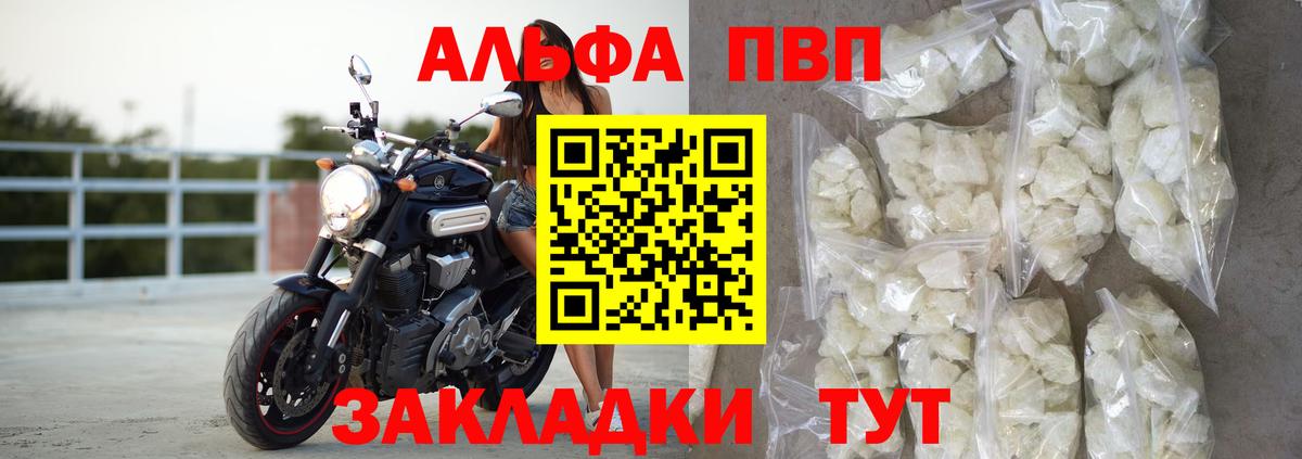 Альфа ПВП СК КРИС Нижневартовск