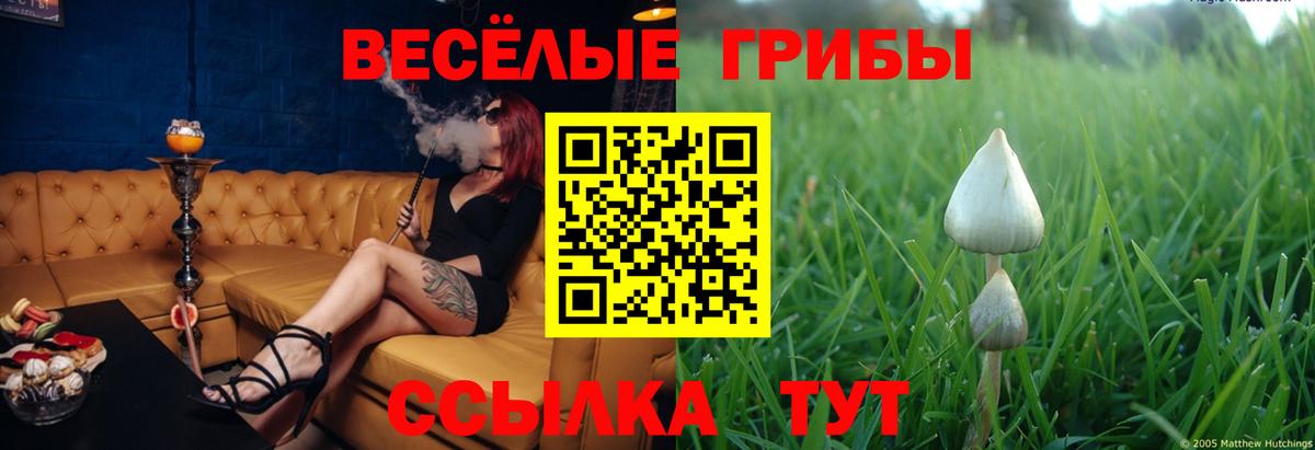 Галлюциногенные грибы мухоморы Нижневартовск
